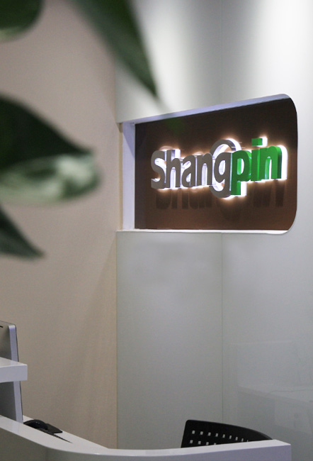 數(shù)字化變革下的專業(yè)網(wǎng)站建設(shè)公司